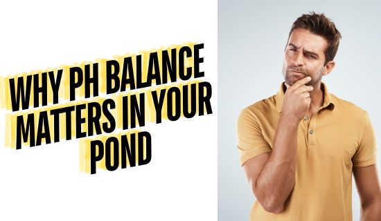 Why pH Balance Matters in Your Pond